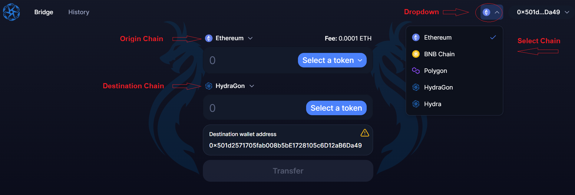 Choose Origin and Destination Chains