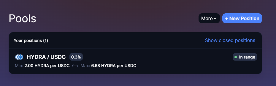 Liquidity Position on the Pool Tab