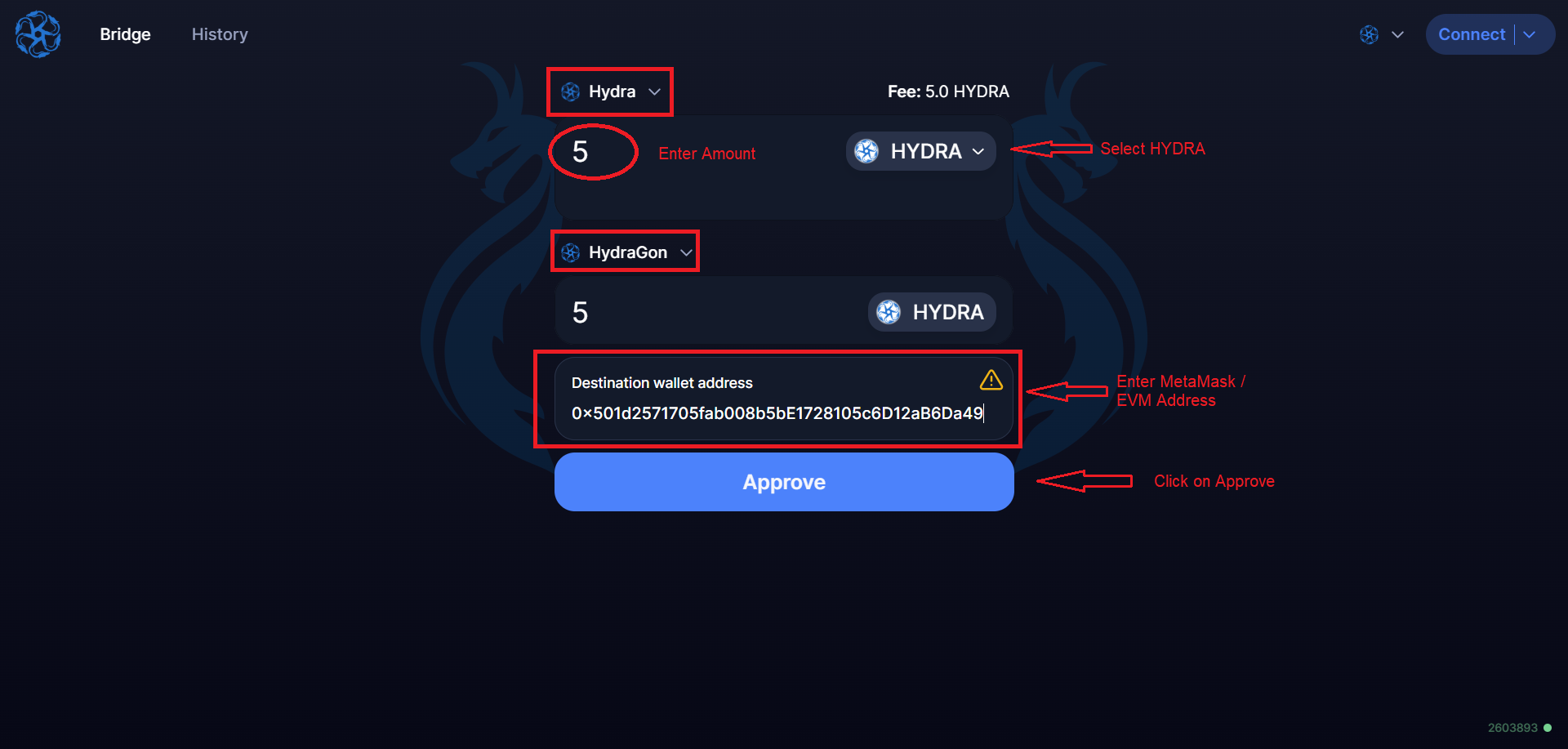 Select Hydra to HydraGon. Enter Address & Amount
